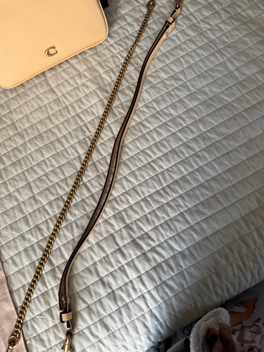 Coach Audrey Leather Crossbody in vanilla with Gold Hardware - Picture 4 of 9